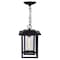 Cwi Lighting Winfield 1 Light Black Outdoor Hanging Light 0414P10-1-101 - alternate 2
